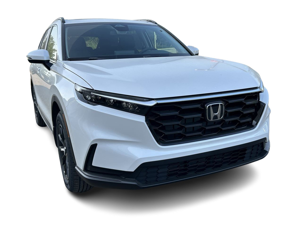 New 2023 Platinum White Pearl Honda SPORT-B image 16