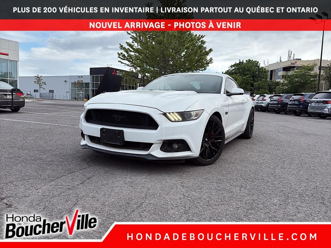 Oxford White 2015 Ford Mustang GT Premium Coupe RWD Coupe Rear-Wheel Drive Automatic