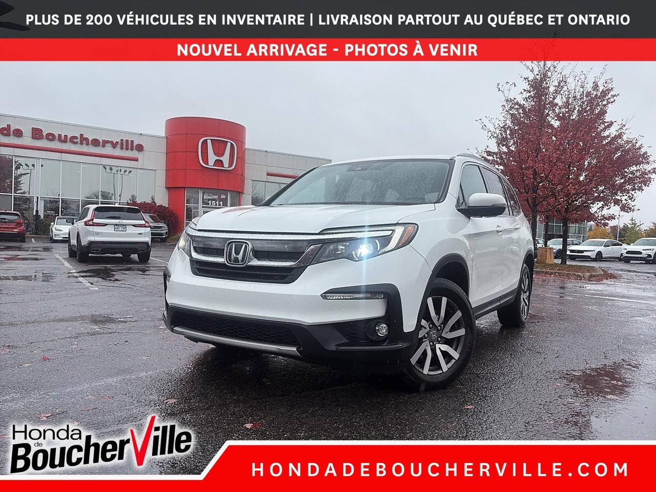 Platinum White Pearl 2022 Honda Pilot SUV / Crossover  Automatic