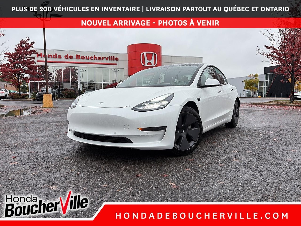2021 Tesla Model 3 Standard Range Plus RWD