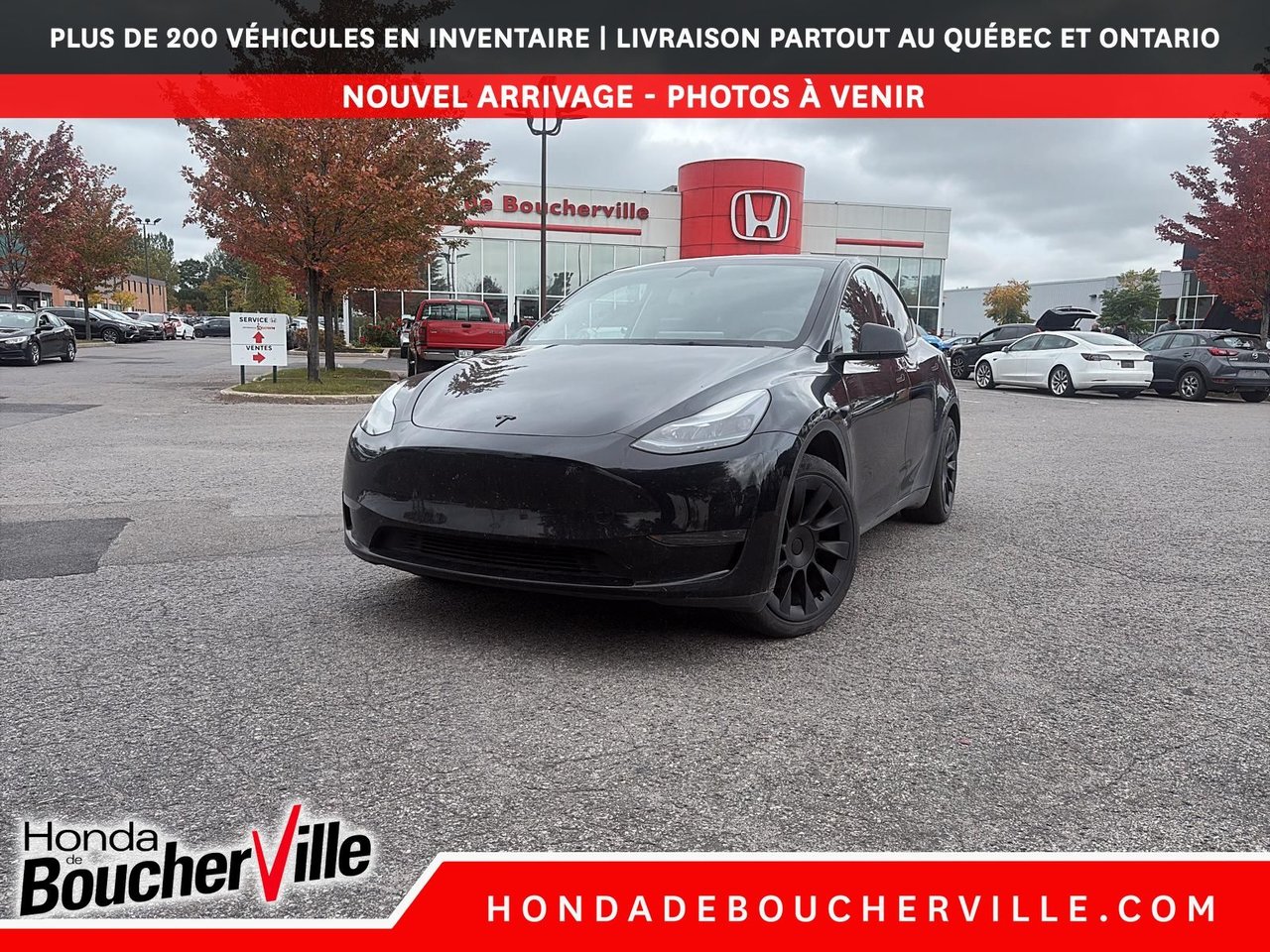 Crystal Black Pearl 2024 Tesla Model Y SUV / Crossover Rear-Wheel Drive Automatic