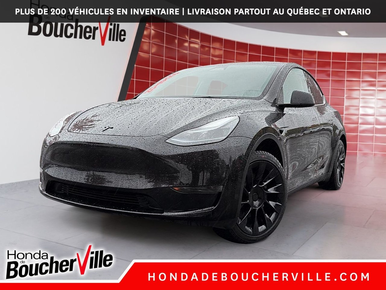 Crystal Black Pearl 2024 Tesla Model Y SUV / Crossover Rear-Wheel Drive Automatic