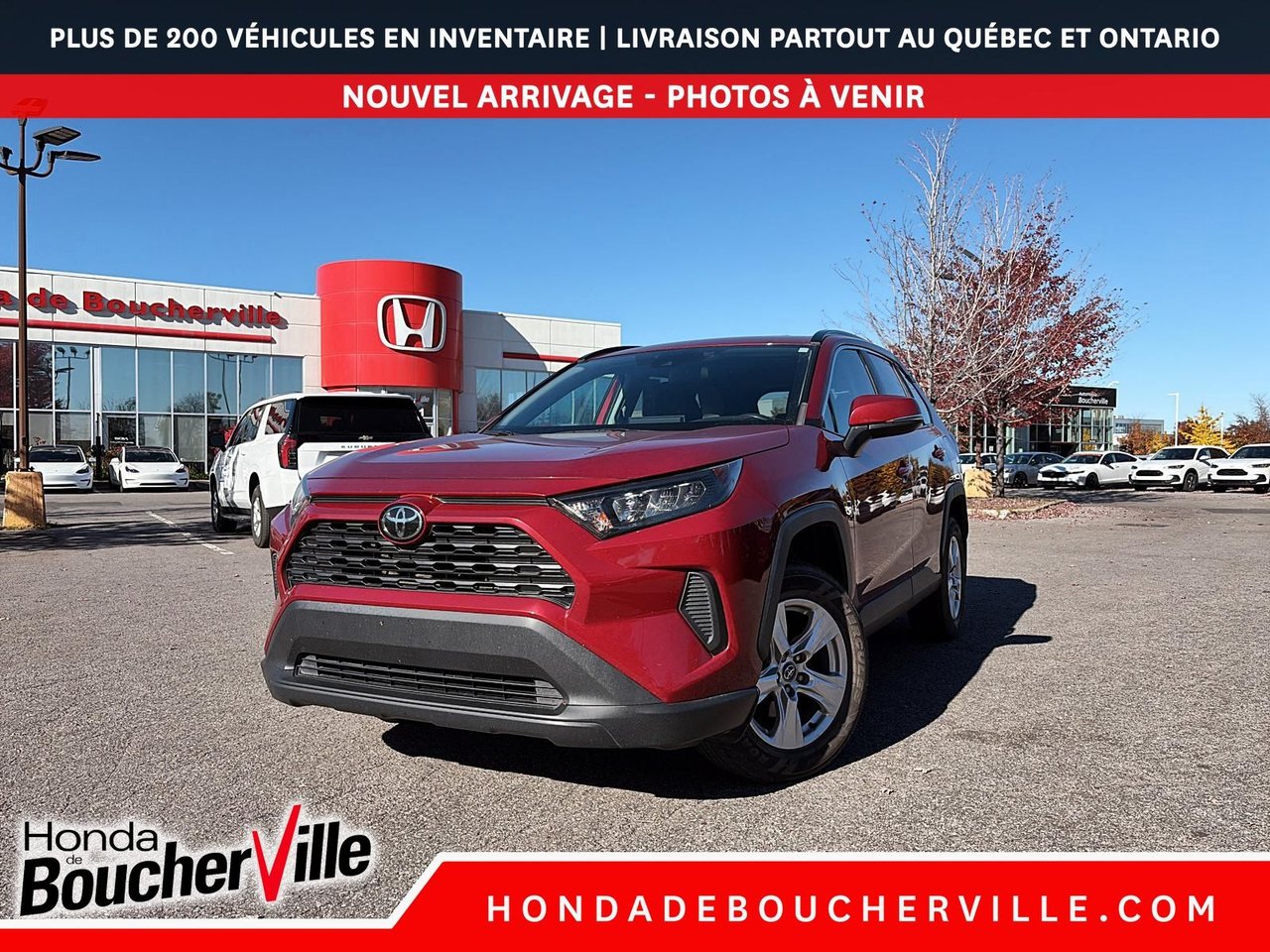 Red 2019 Toyota RAV4 SUV / Crossover All-Wheel Drive Automatic