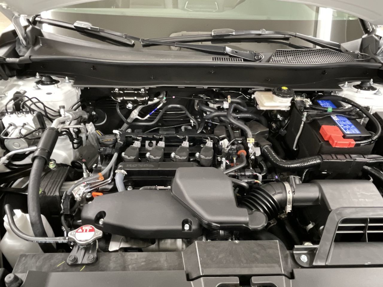 New 2023 Platinum White Pearl Honda LX 2WD image 19