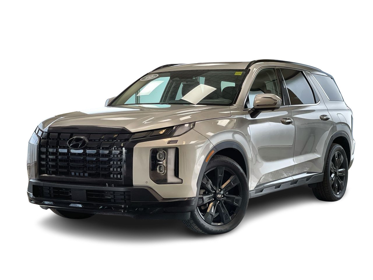 Typhoon Silver 2025 Hyundai Palisade SUV / Crossover  Automatic