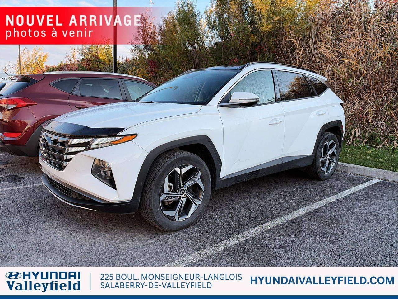 2023 Hyundai Tucson Hybrid Luxury AWD
