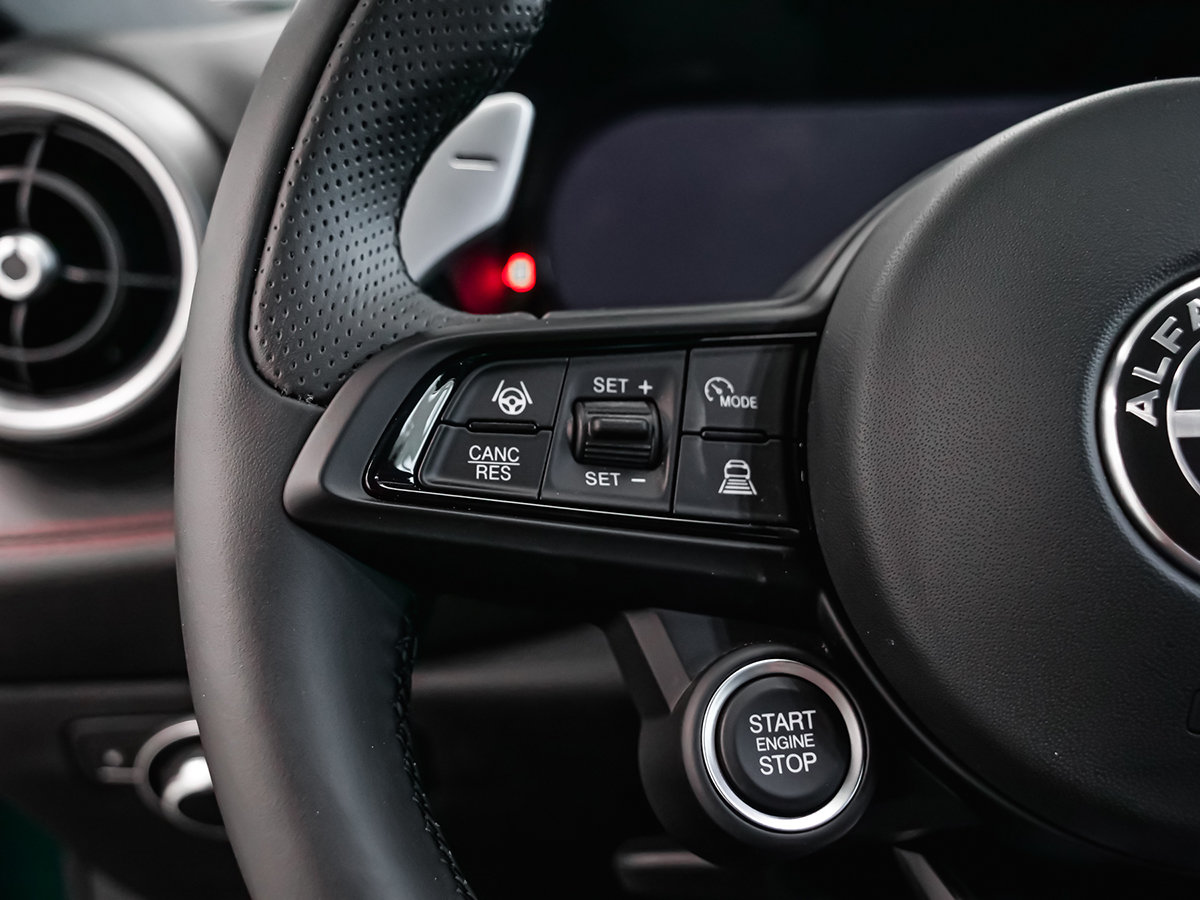 2025 Alfa Romeo Tonale PHEV TRIBUTO-32