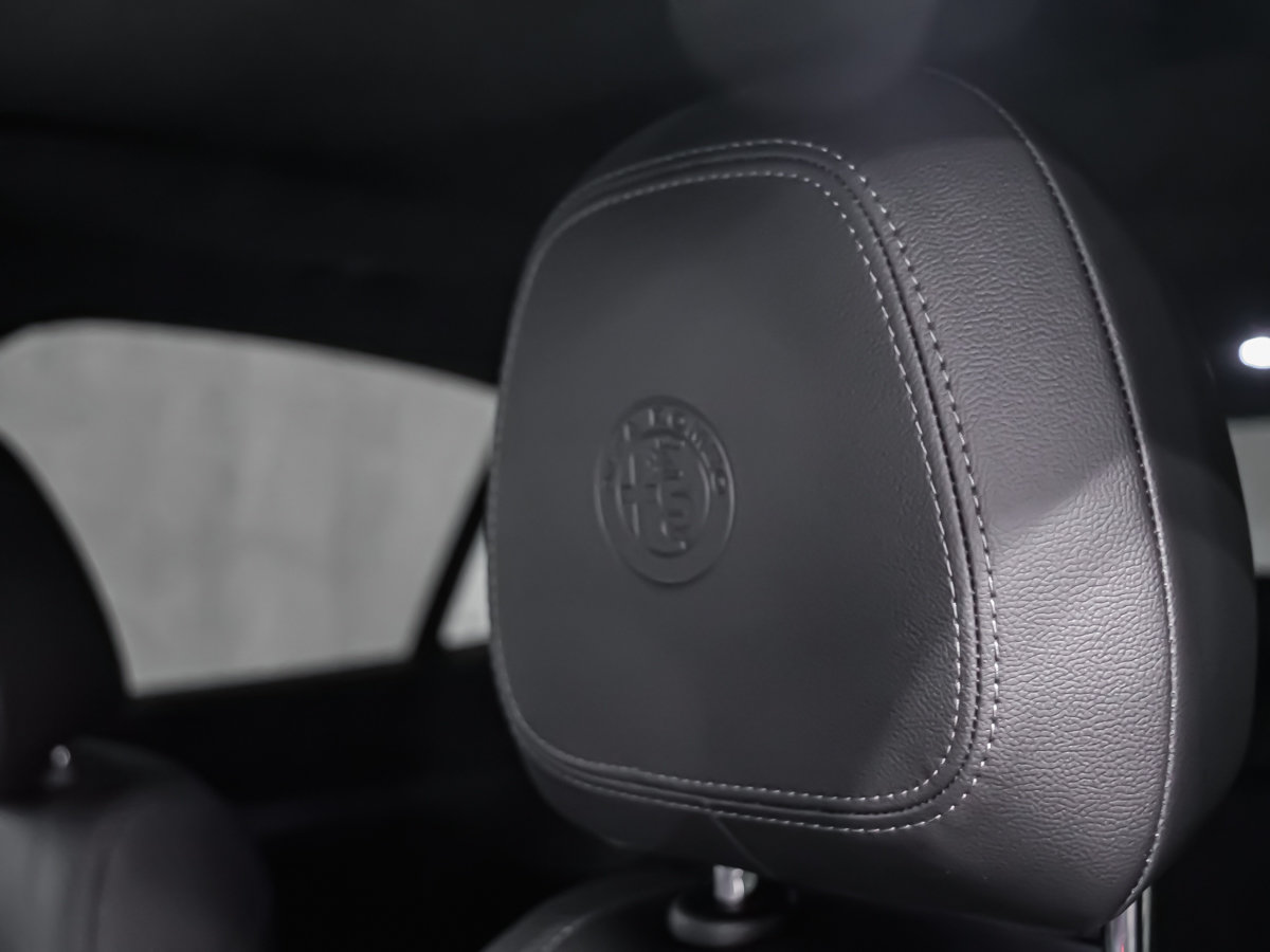 2024 Alfa Romeo Stelvio QUADRIFOLIO-29