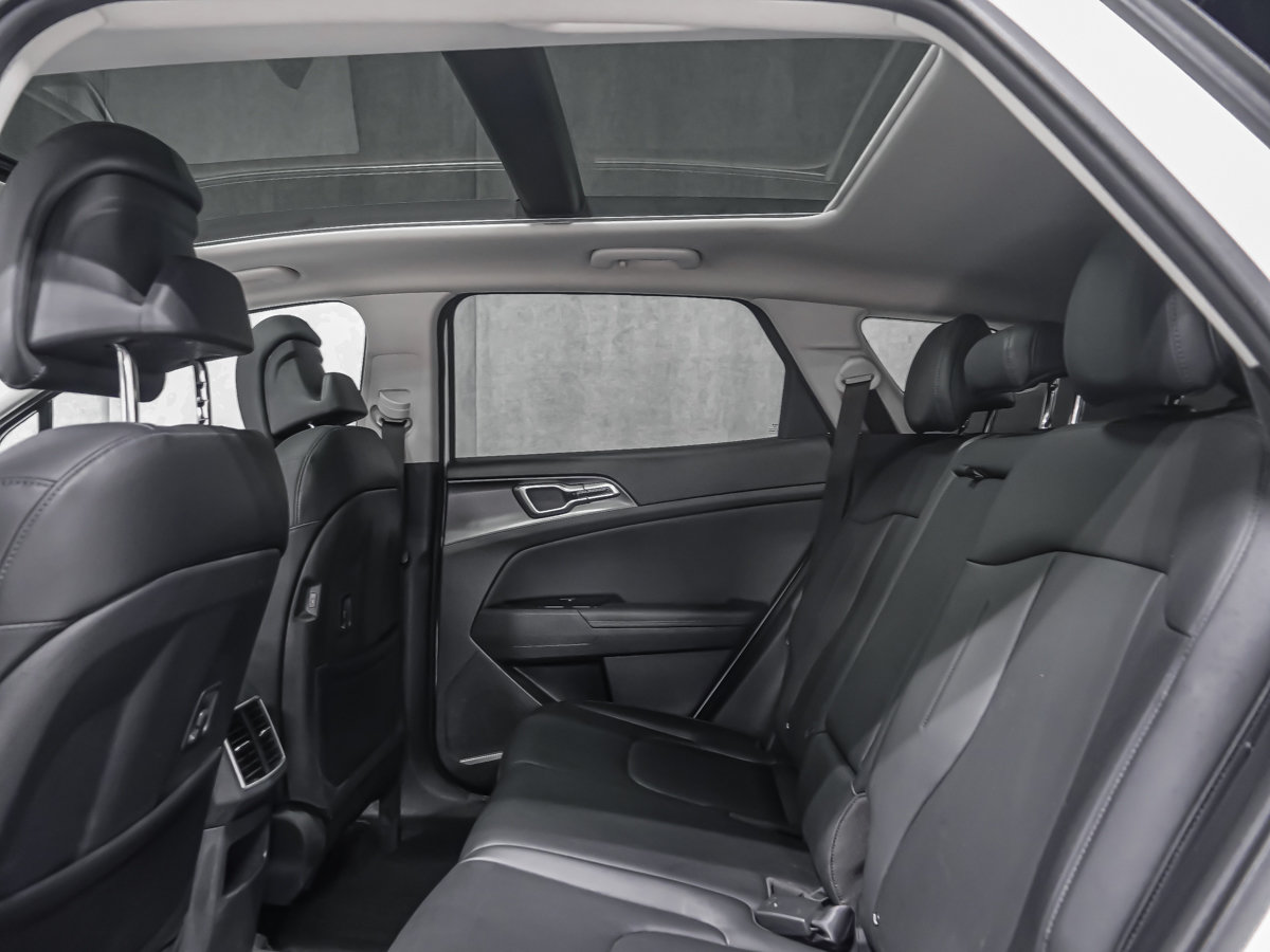 Kia Sportage  2024-14