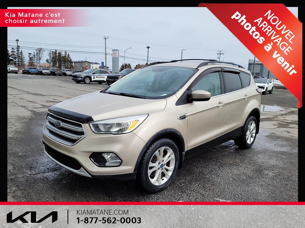 Ford Escape SE 2017