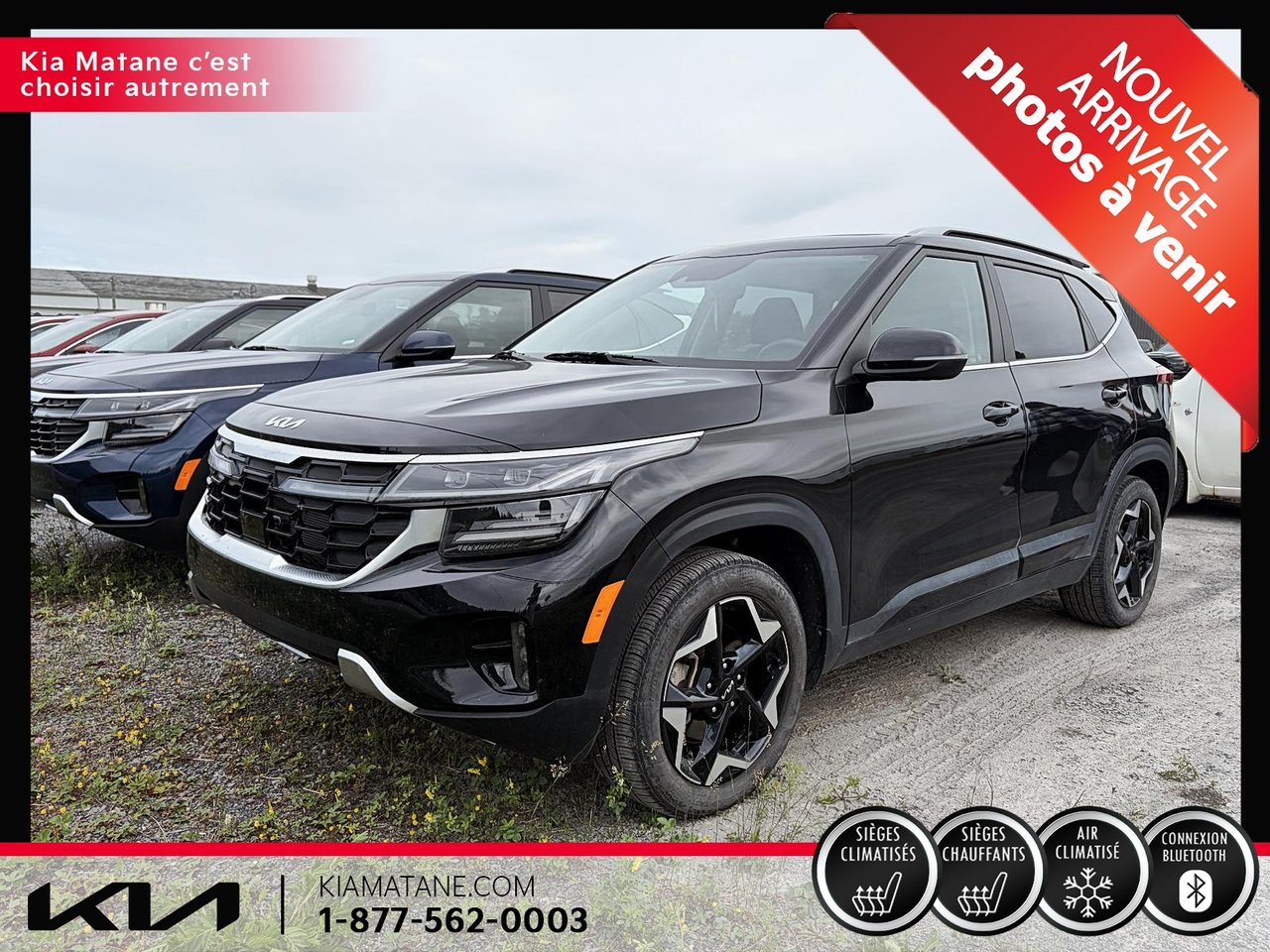 Kia Seltos null 2024