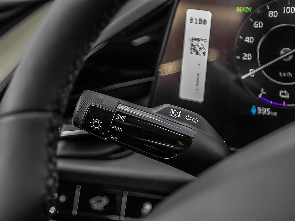 2025 Kia Niro EV Wind +-22