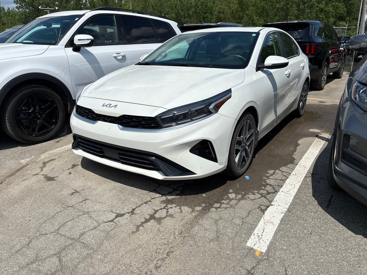 Snow White Pearl 2023 Kia Forte Sedan  