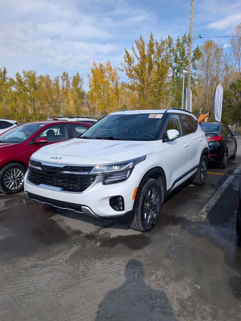 Snow White Pearl 2025 Kia Seltos SUV / Crossover All-Wheel Drive