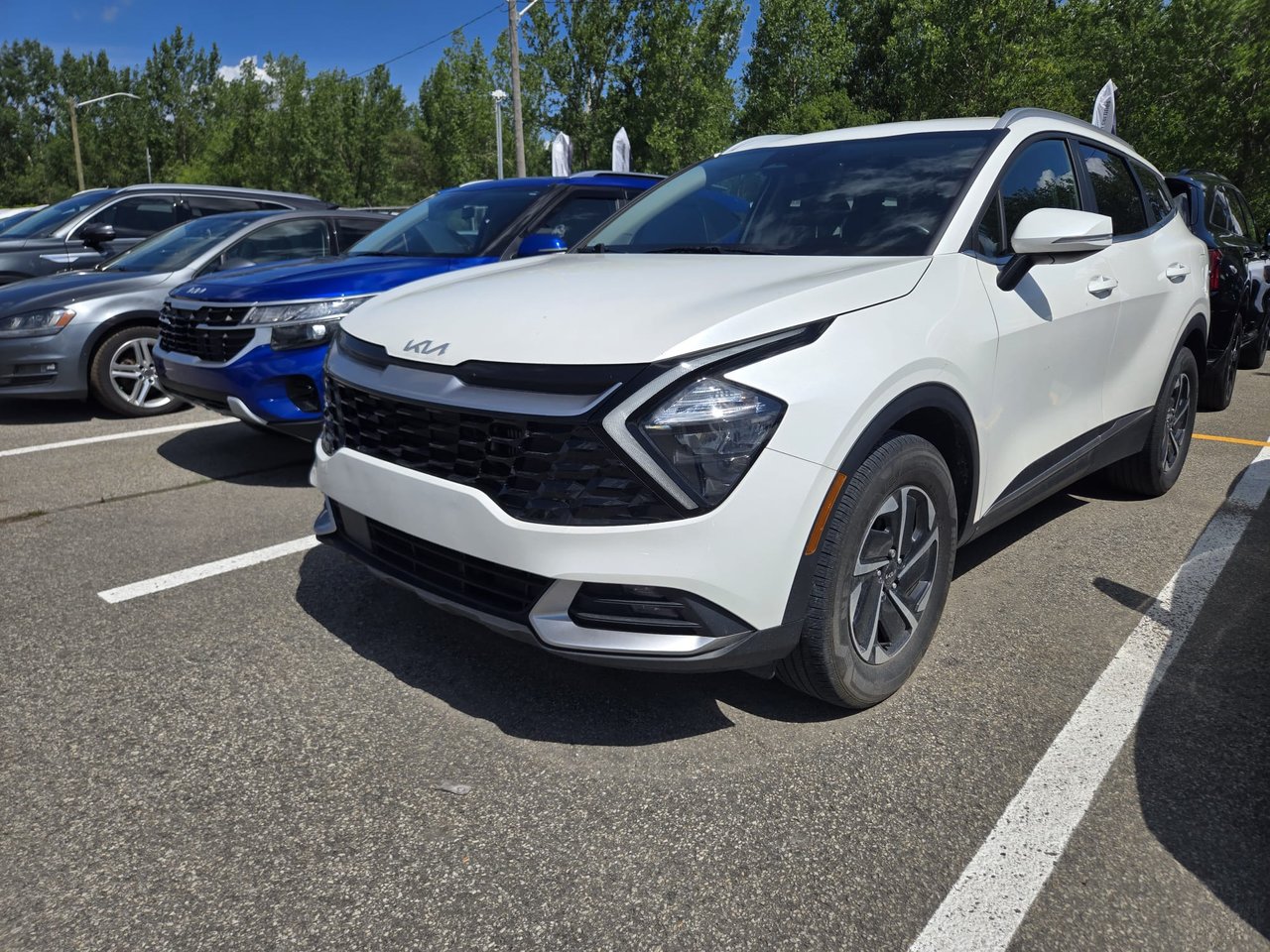 Snow White Pearl 2023 Kia Sportage Hybrid SUV / Crossover All-Wheel Drive Automatic