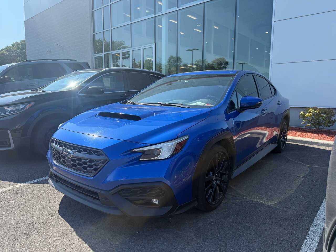 World Rally Blue Pearl 2022 Subaru WRX Sedan Manual