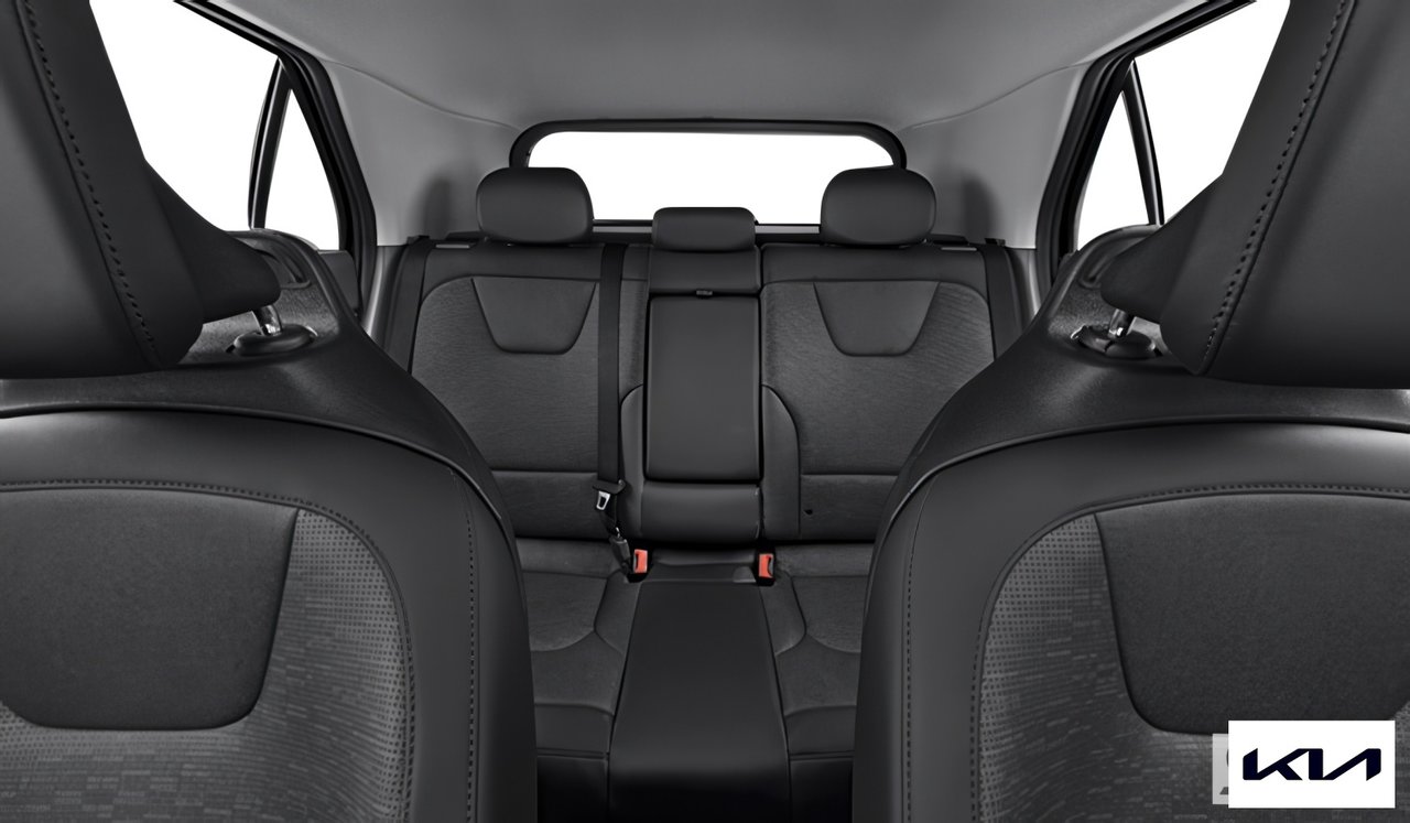 2025 Kia Niro EV Wave-3