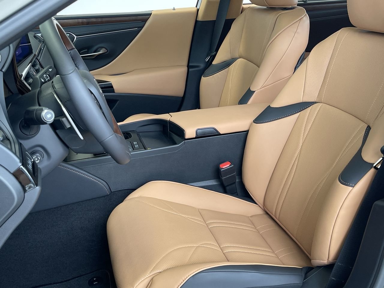 New 2023 Moonbeam Beige Metallic Lexus 300 image 18