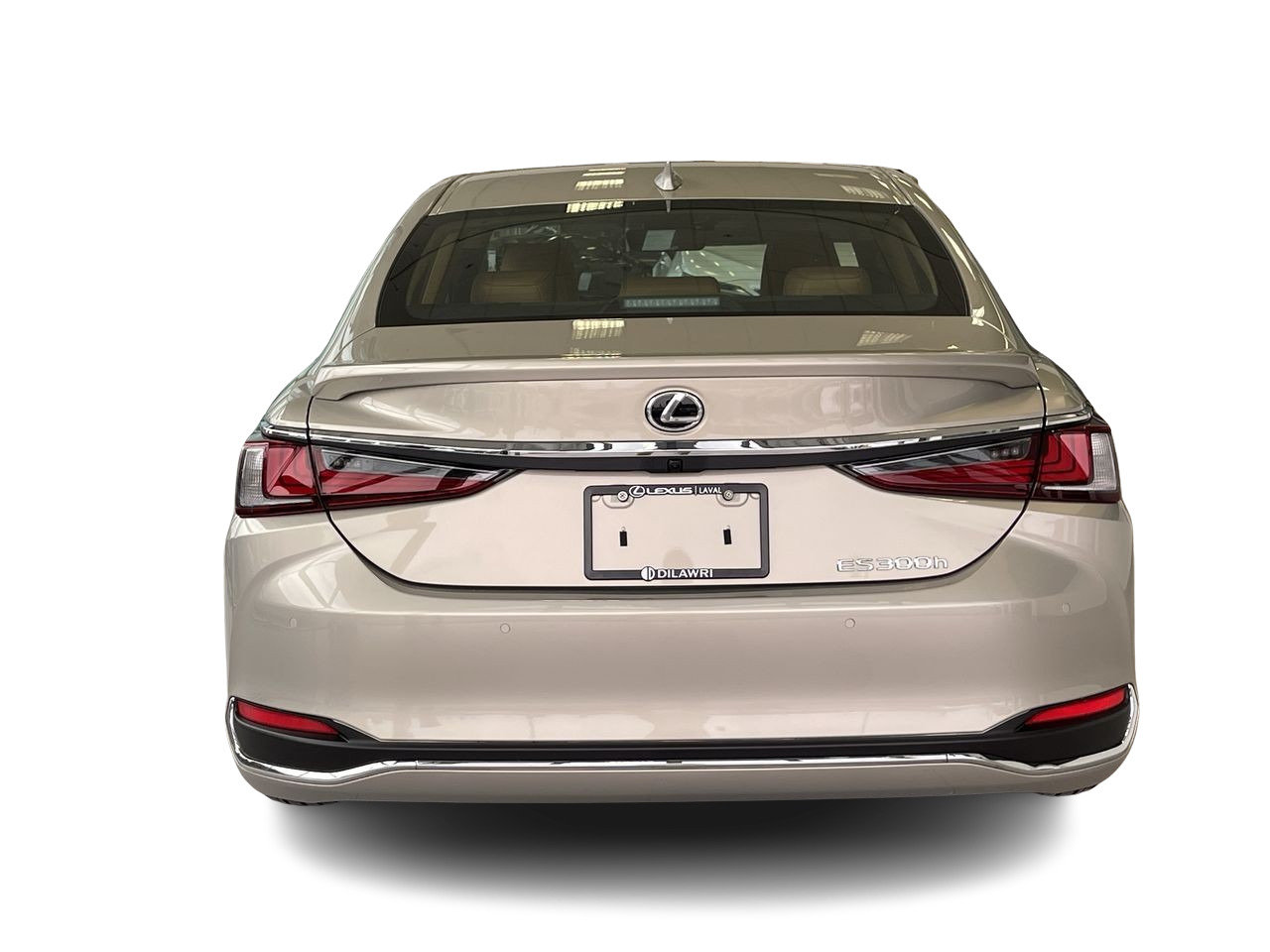 New 2023 Moonbeam Beige Metallic Lexus 300 image 10