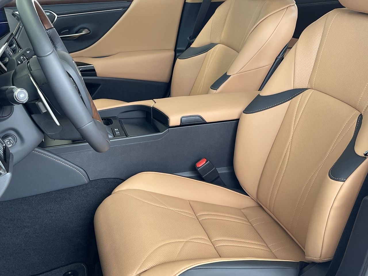 New 2023 Eminent White Pearl Lexus 300 image 19