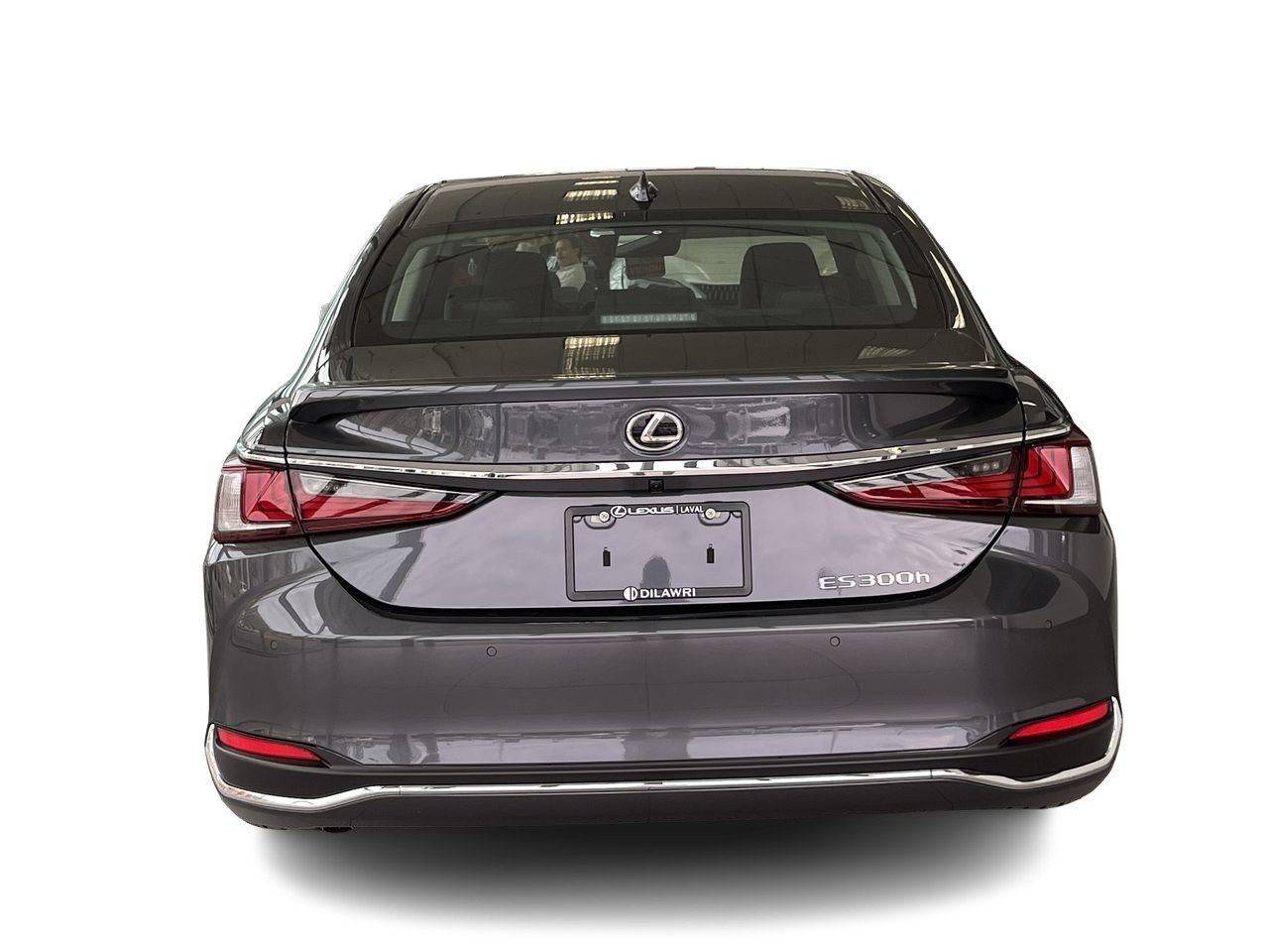 New 2023 Cloudburst Grey Lexus 300 image 11