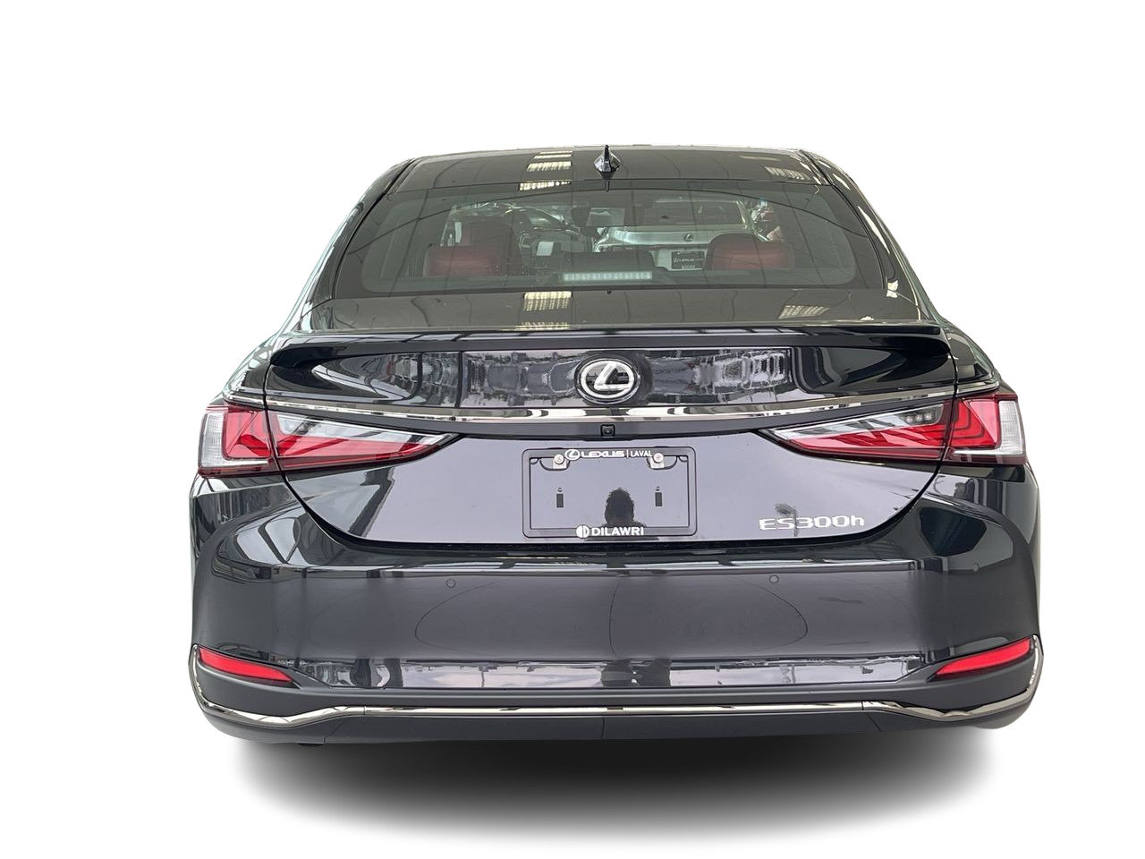 New 2024 Caviar Lexus 300 F SPORT image 11