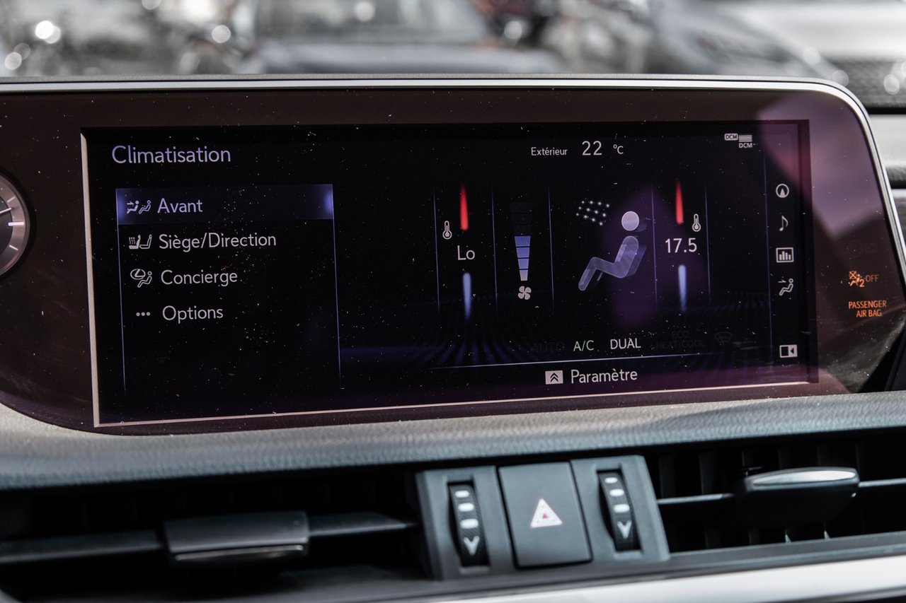 Used 2021 BLACK Lexus ES 250 / PREMIUM / NAVI-GPS / CAMERA / MAGS-17
