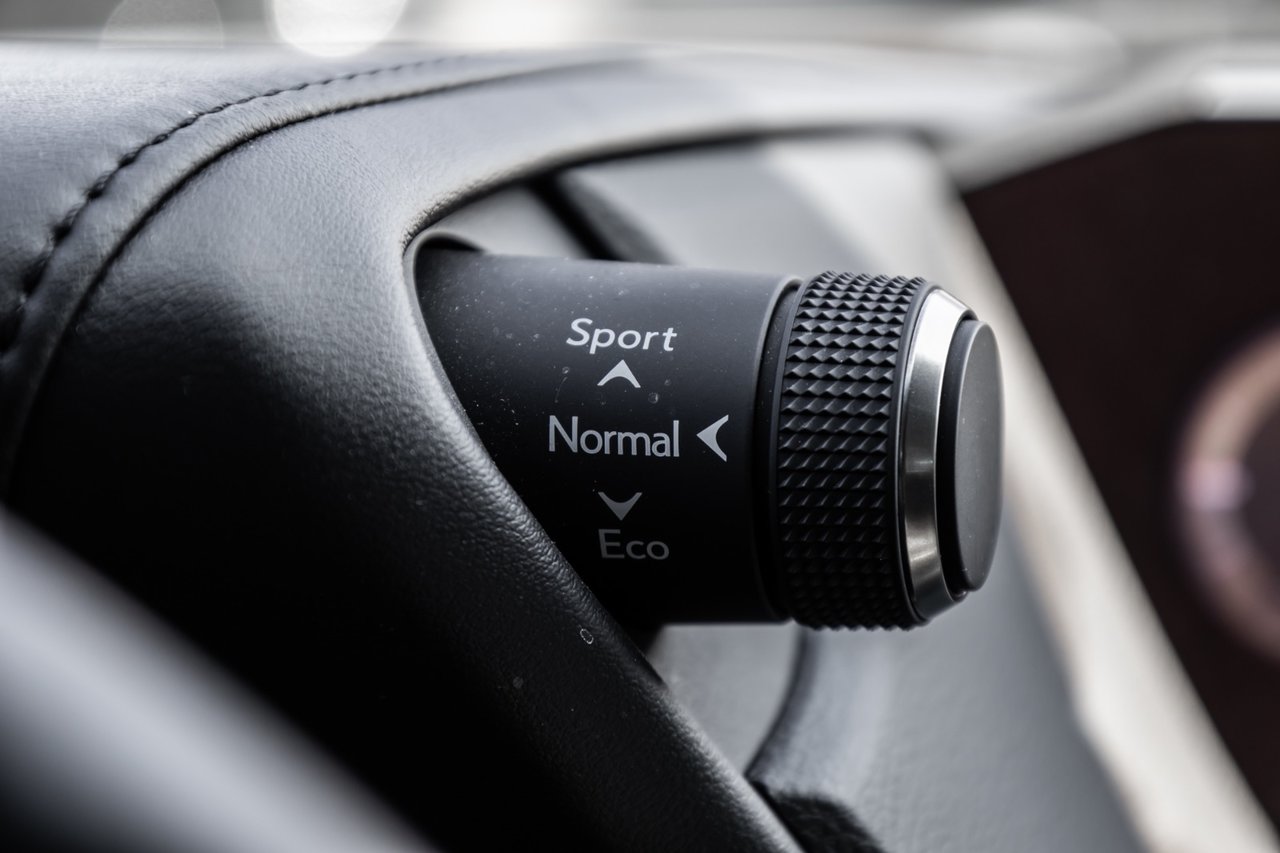 Used 2021 BLACK Lexus ES 250 / PREMIUM / NAVI-GPS / CAMERA / MAGS-17