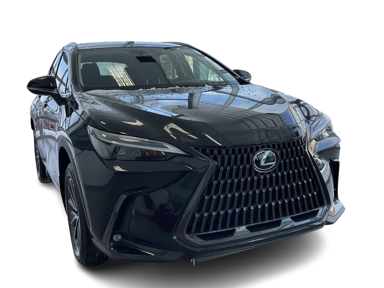 New 2023 Caviar Lexus 250 SIGNATURE image 13
