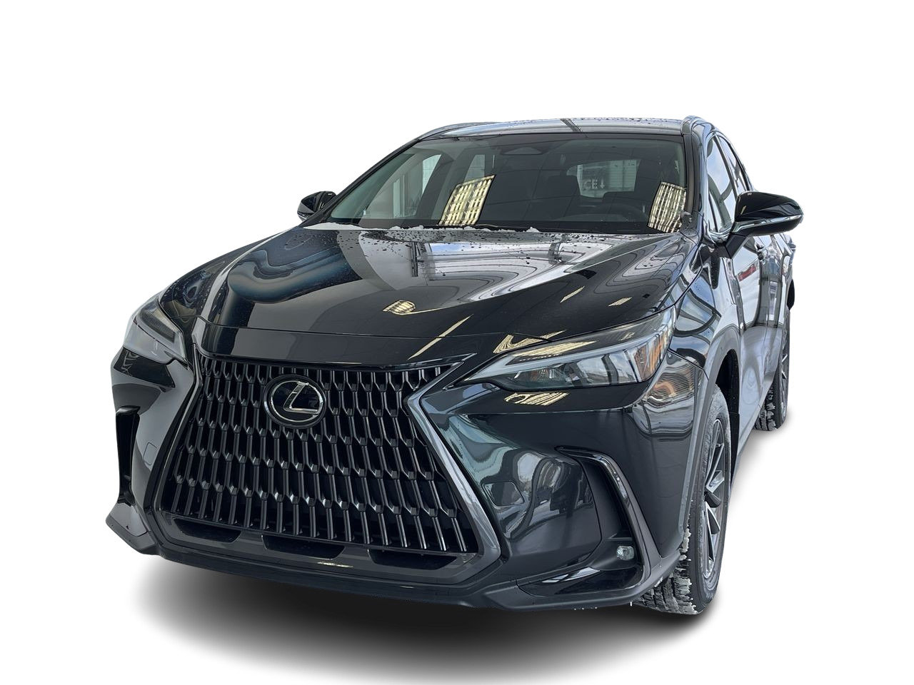 New 2023 Caviar Lexus 250 SIGNATURE image 15