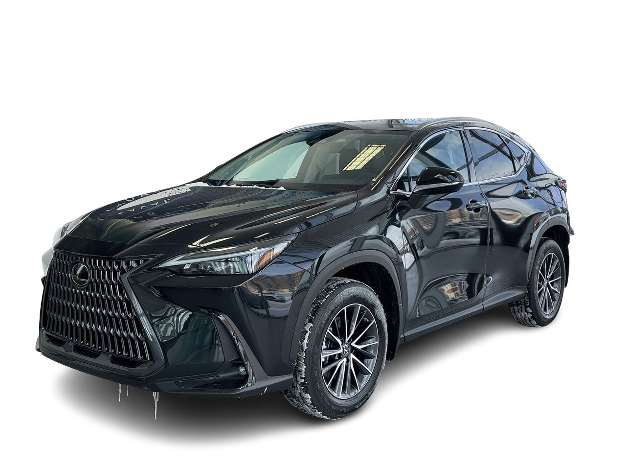 New 2023 Caviar Lexus 250 SIGNATURE image 17