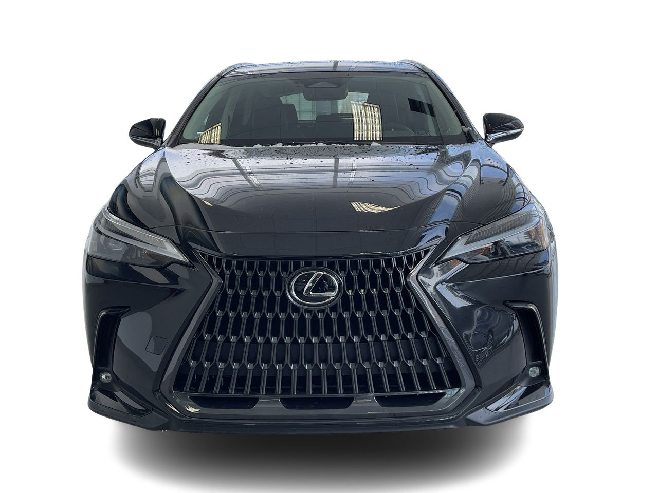 New 2023 Caviar Lexus 250 SIGNATURE image 14