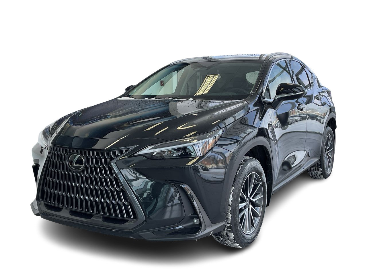 New 2023 Caviar Lexus 250 SIGNATURE image 16