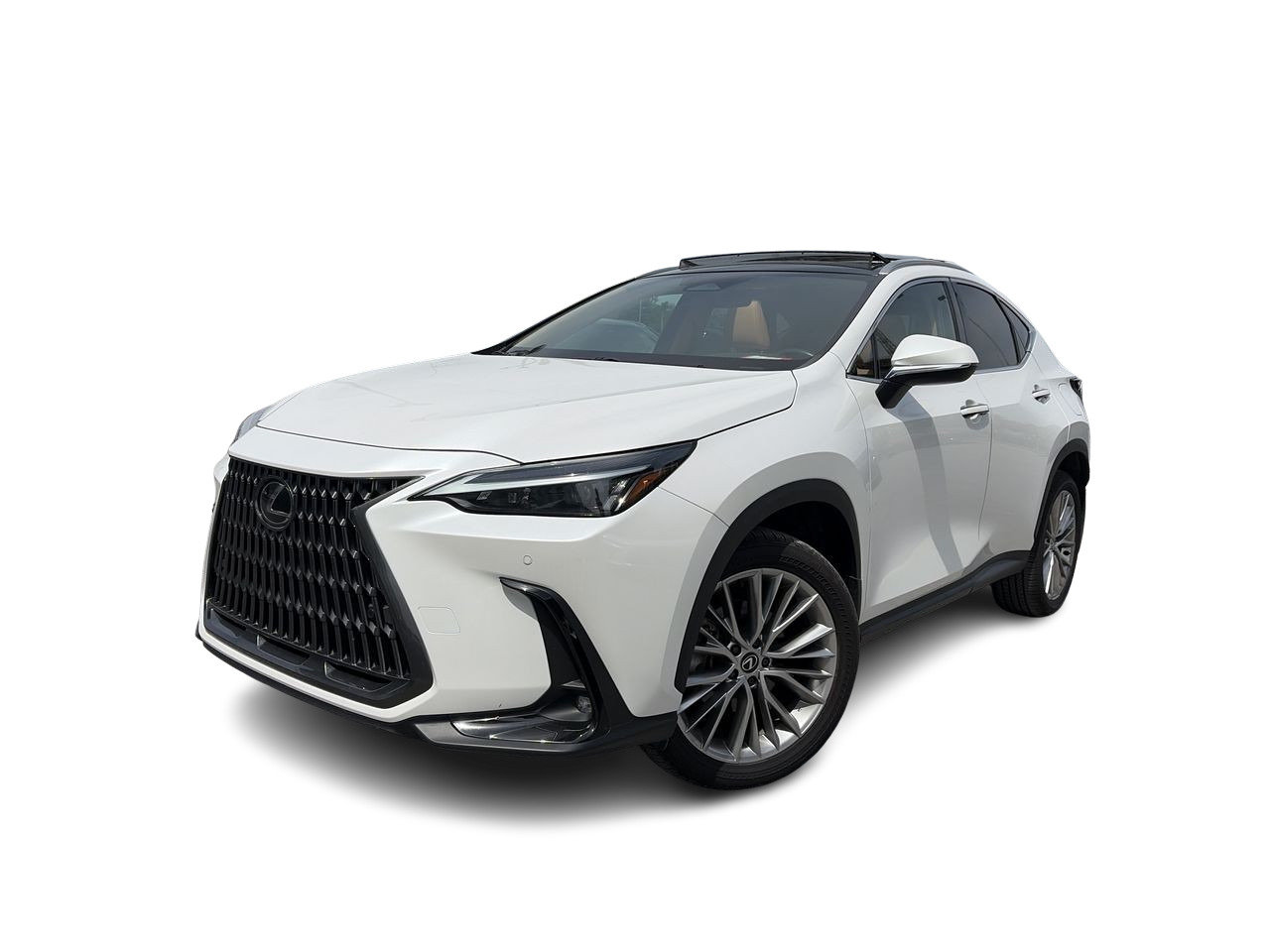 White 2024 Lexus NX SUV / Crossover All-Wheel Drive Automatic
