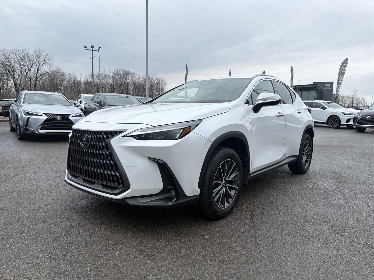 Lexus NX Hybrid 350h Premium AWD 2024
