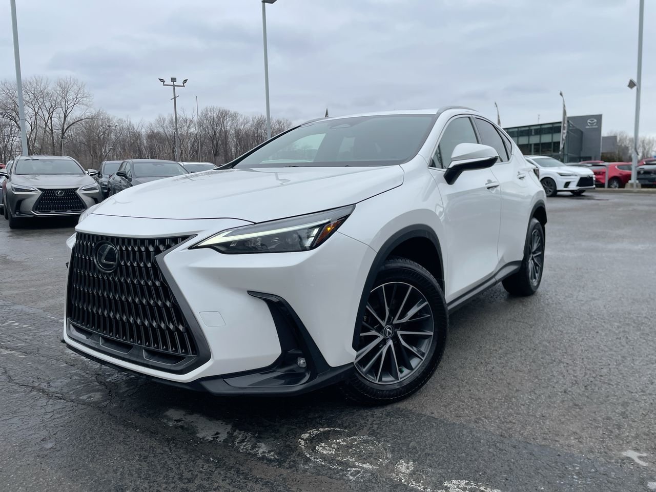 2024 Lexus NX Hybrid 350h Premium AWD