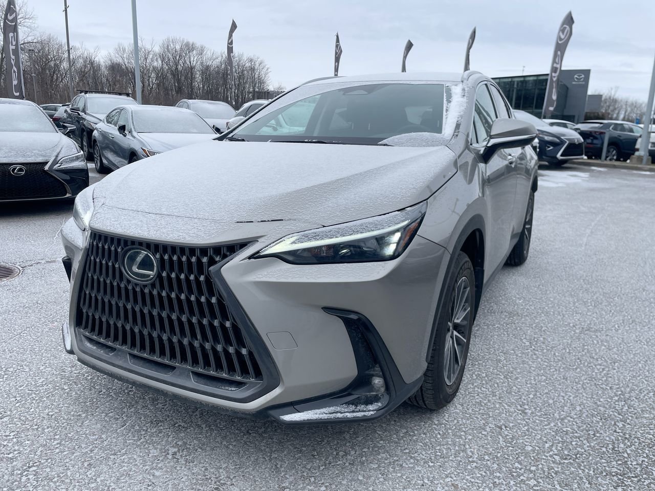 Lexus NX 250 AWD 2025