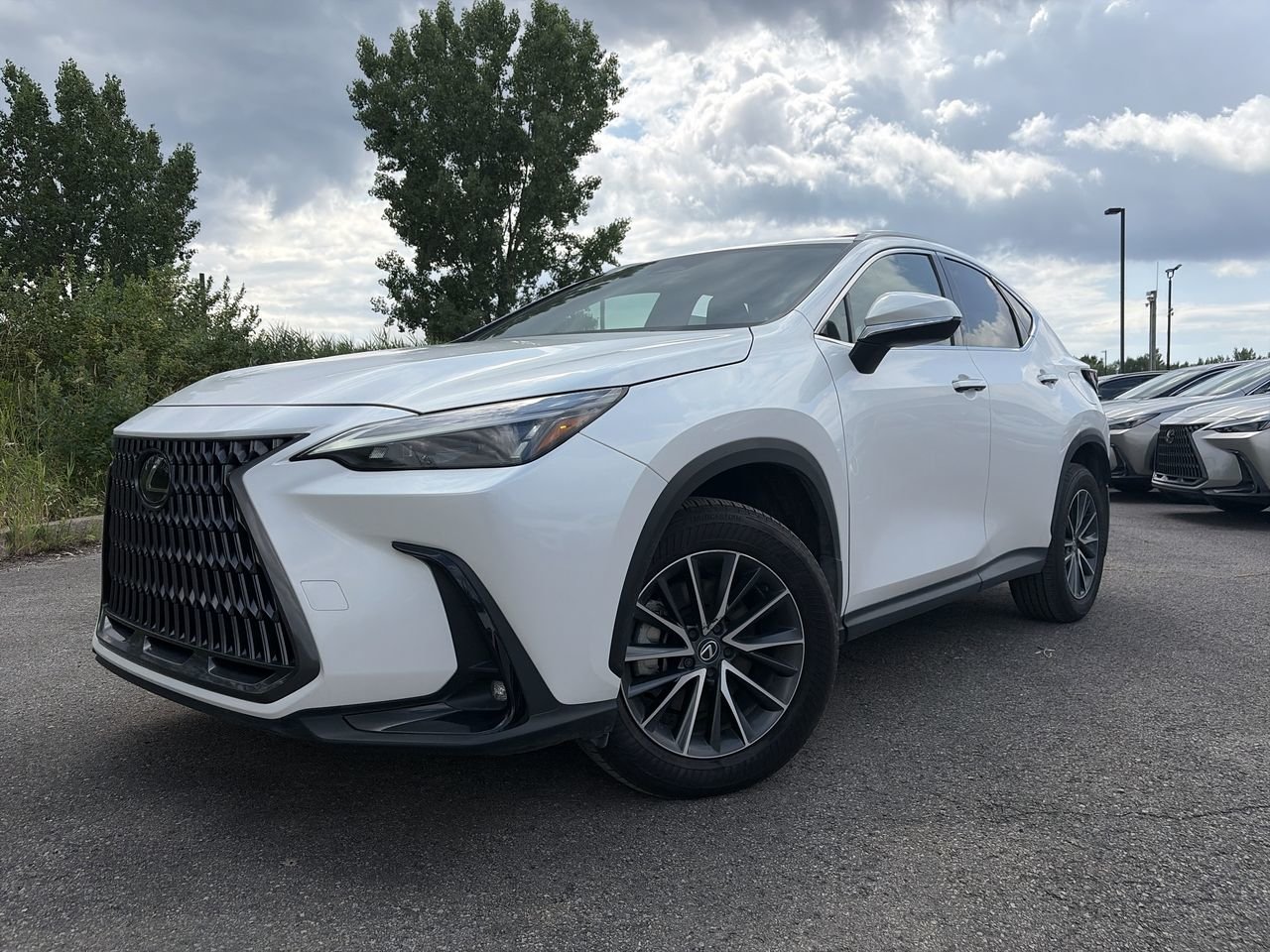 2025 Lexus NX 350 Premium AWD