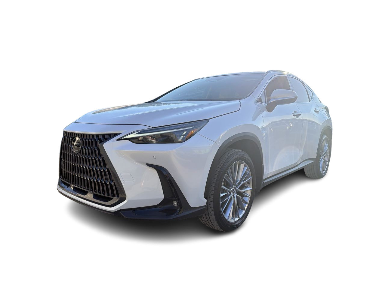 2025 Lexus NX
