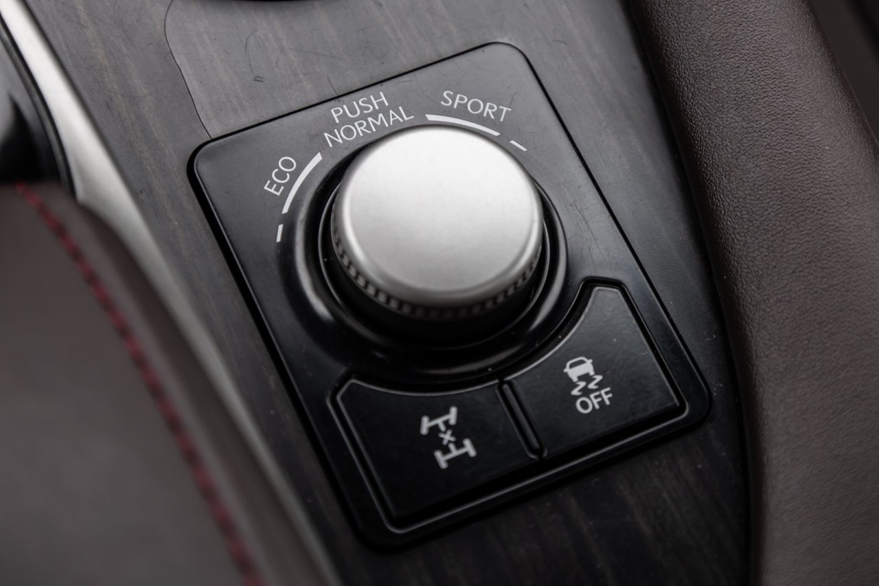 Used 2019 Caviar Lexus PREMIUM / CAMERA / TOIT OUVRANT / CUIR / MAGS-18