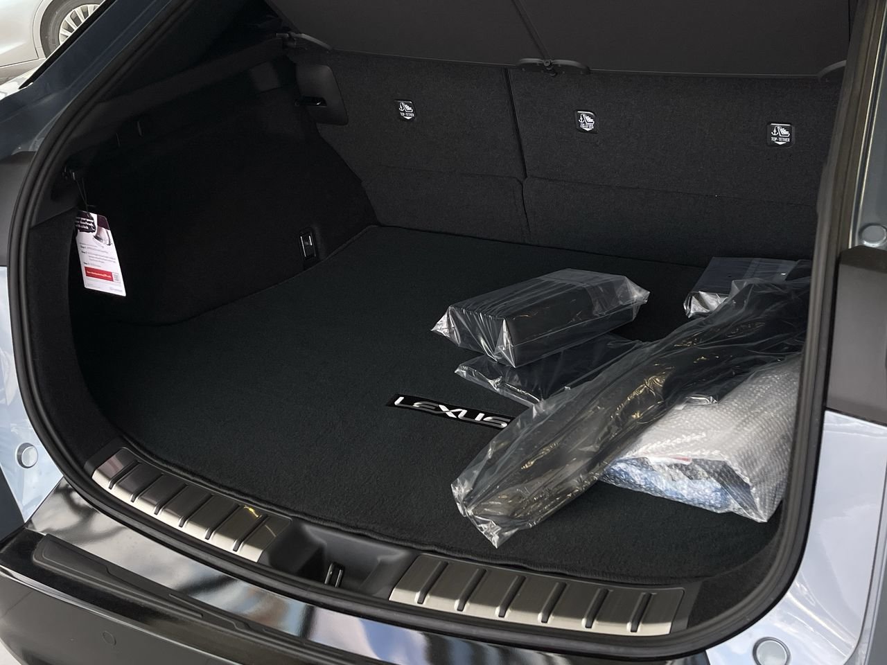 New 2023 Ether with Black Onyx Roof & Hood Lexus EXECUTIVE image 32