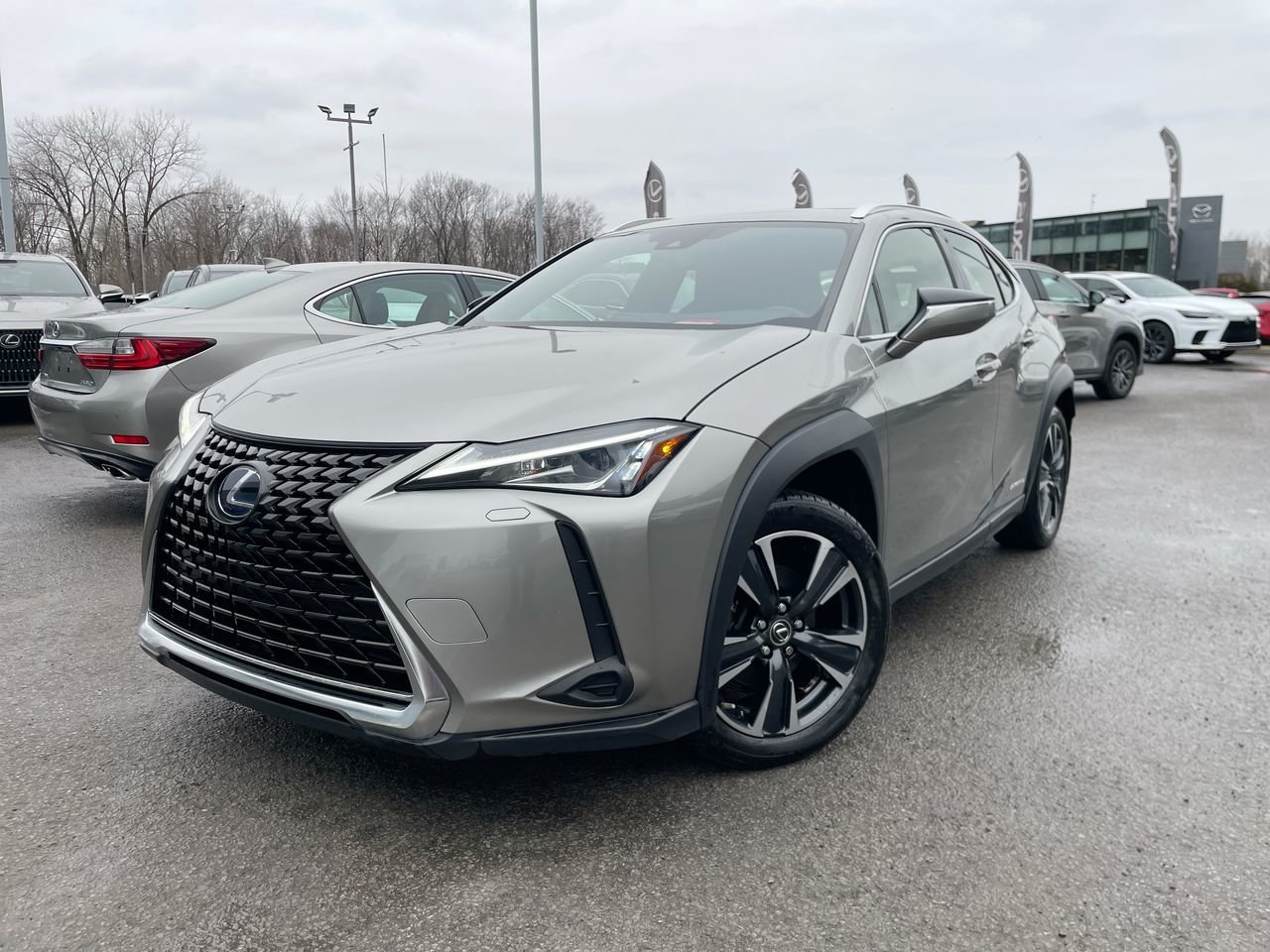 2021 Lexus UX Hybrid 250h AWD