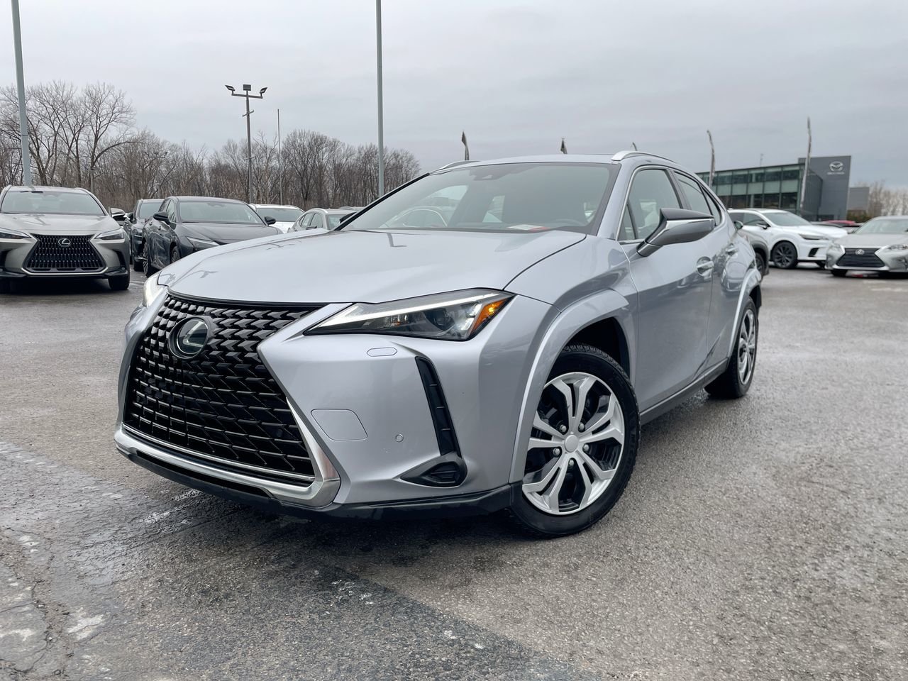 2024 Lexus UX Hybrid 250h AWD
