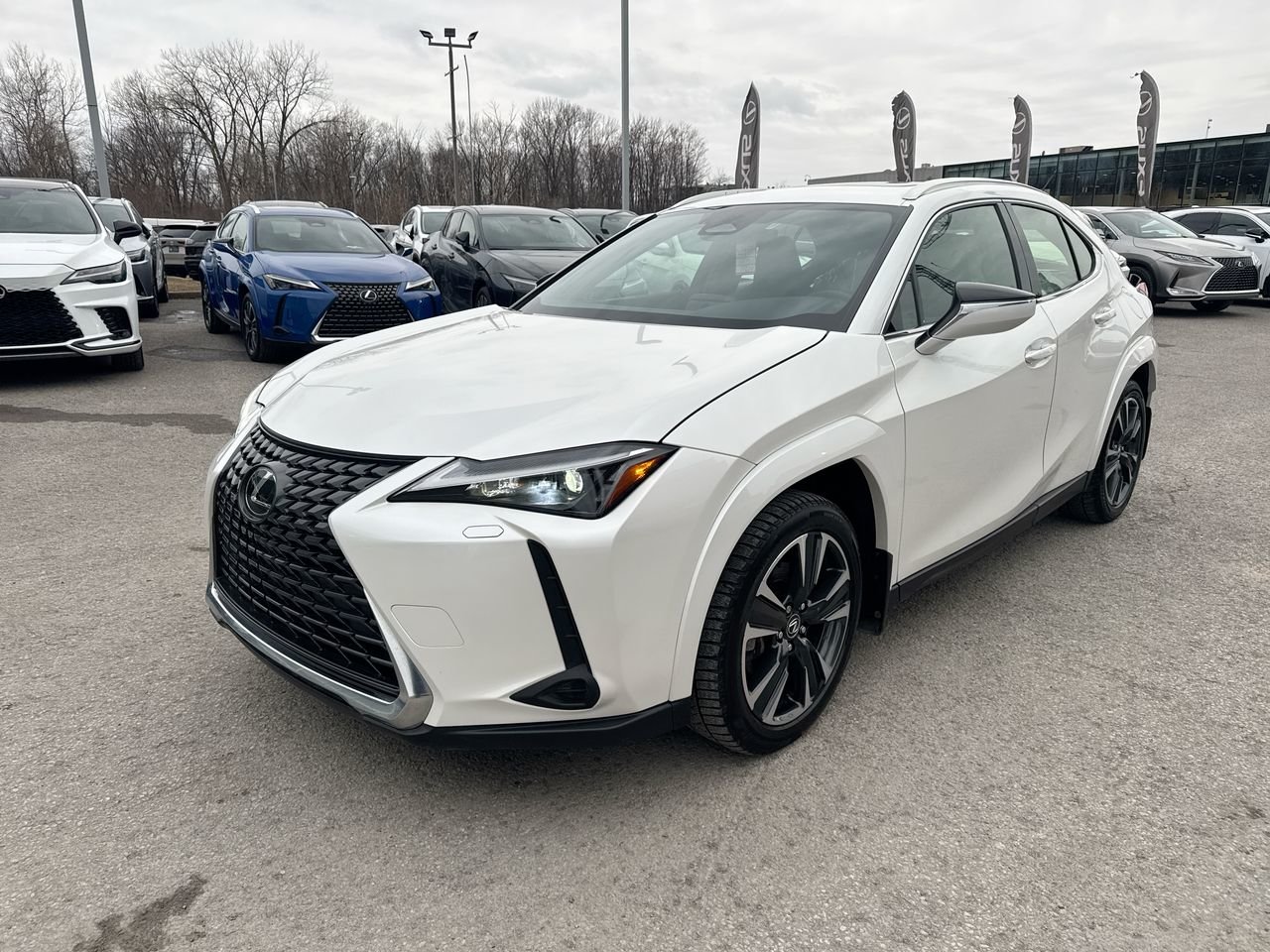 Lexus UX Hybrid 300h Premium AWD 2025