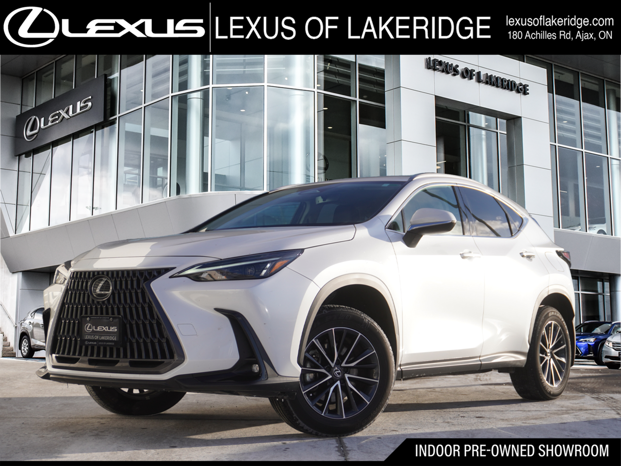 2025 Lexus NX 250 Signature AWD