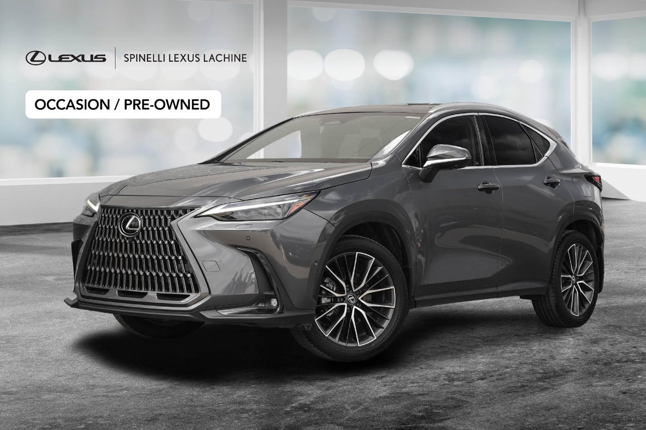Gray (Cloudburst Grey) 2025 Lexus NX Hybrid SUV / Crossover Continuously Variable Transmission