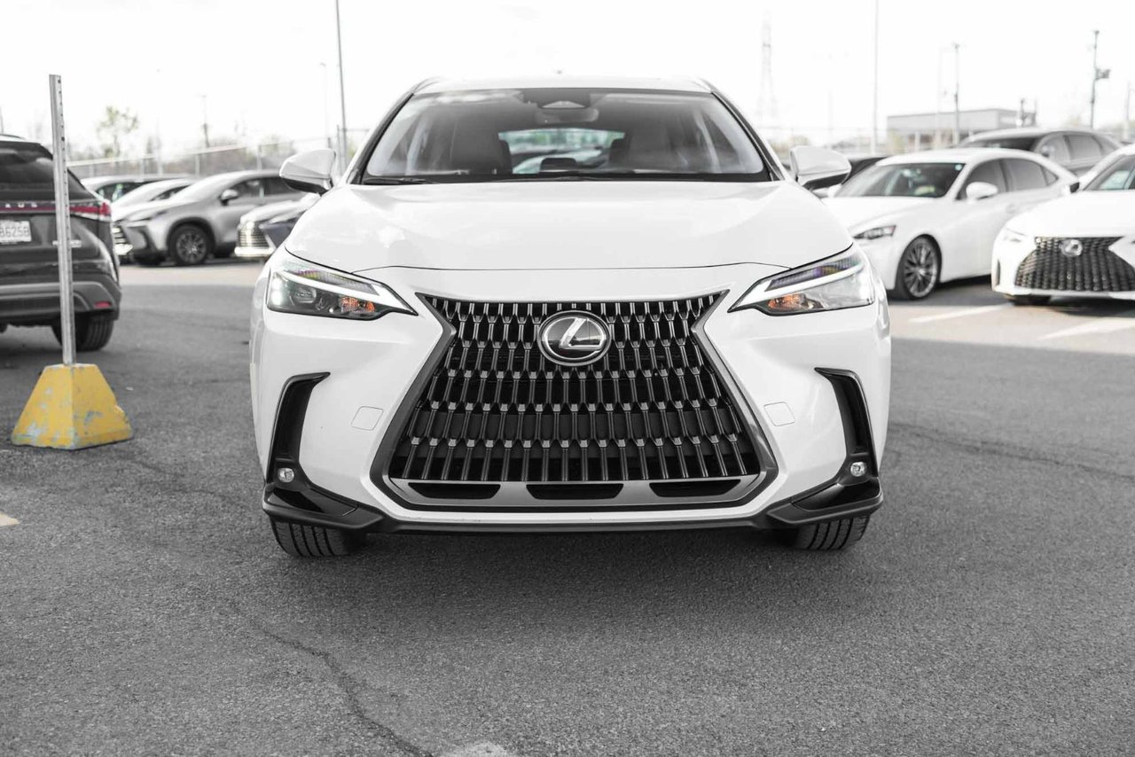 Lexus NX 2024