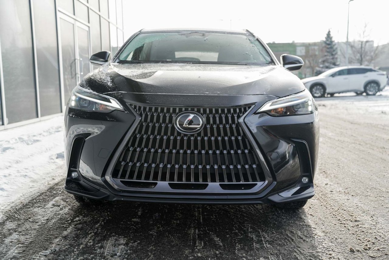 Lexus NX 2024