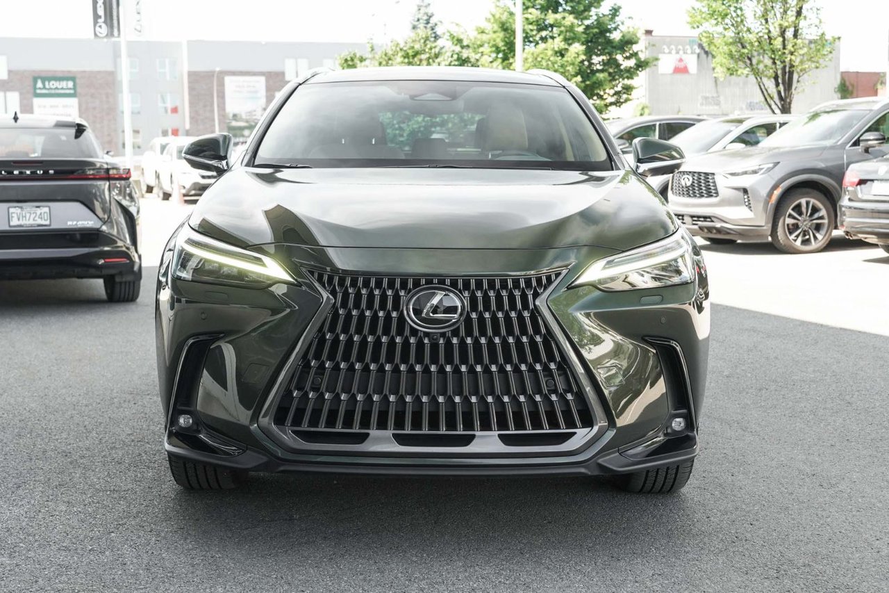 2024 Lexus NX
