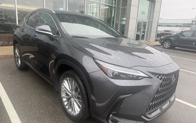 Gray (Cloudburst Grey) 2025 Lexus NX SUV / Crossover Automatic